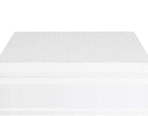 30 Pcs Heavyweight Oil Absorbing Mats, 15 x 20 White Heavy Weight Oil-Only Absorbent Mat Pad, Spill Absorbent Pad for Automotive & Workshop(Only Oil Absorbent Pads)