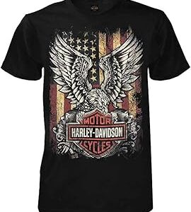 Harley-Davidson Men's Custom Freedom Short Sleeve Crew Neck Tee - Black