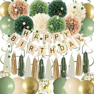 Green Birthday Party Decorations for Women Girls with Happy Birthday Banner,Tissue Paper Pompoms, Paper Tassel,Circle Garland,Hanging Swirl,Decorations Balloons for Party Decor (sage green)
