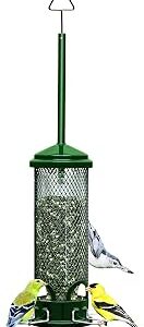 Squirrel Buster Mini Squirrel-Proof Bird Feeder for Wild Birds – 4 Metal Perches, 1 lb Seed Capacity, Chew-Proof Design, Lifetime Care, Garden Green